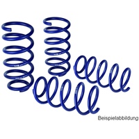H&R Spezialfedern Fahrwerksatz, Federn Tieferlegungsfedersatz 29209-4]