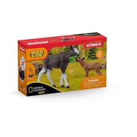 Schleich Wild Life - Elchkuh mit Kalb (42603/42629)
