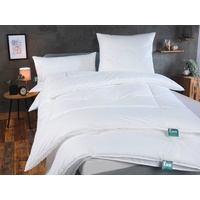 Fan First Class Größe 135x200 Ausführung Duo-Steppbett - Blau