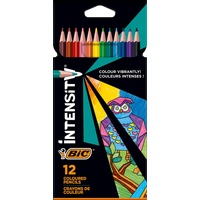 BIC Buntstift 12 St. farbsortiert