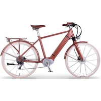 Ego movement E-Bike EGO MOVEMENT "Classic 25 Cäsar Herren
