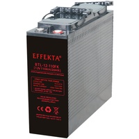EFFEKTA BTL 12-110FK Frontterminal Blei-Vlies Akku AGM VRLA