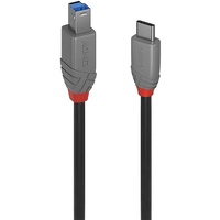 Lindy 36666 1m USB 3.2 Typ C an B