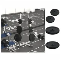 VidaXL Hantelscheibe 40 kg Gusseisen