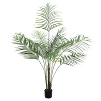 Europalms Großblatt-Areca, 185cm