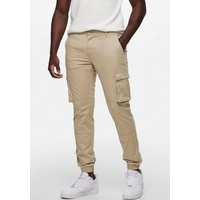 Only & Sons Hose 'Cam Stage' & Beige -