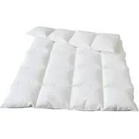 Traumina Plume Bio Daune Einziehdecke WK4