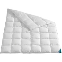 Haeussling Daunenbettdecke »Kuscheltraum«, normal, Füllung 60% Daunen, 40% Federn,