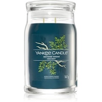 Yankee Candle Bayside Cedar 567 g