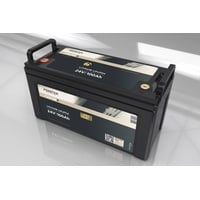 Forster individual batteries FORSTER 100Ah 25,6V LiFePO4 Premium Batterie