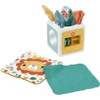 Fisher-Price 2-in-1 Babys Tücherbox - Sensorisches Spielzeug