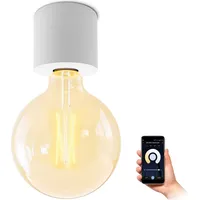 SSC-LUXon NAMBI Vintage Deckenlampe weiß mit WLAN Filament Glühbirne