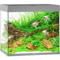 JUWEL AQUARIUM Lido 200 LED Aquarium Set grau