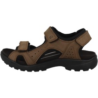 ECCO Onroads Herren cocoa brown/black 43