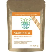 VITARAGNA Arabino-X Ballaststoff-Komplex als Pulver aus ResistAid Arabinogalactan, Guargummi