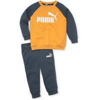 Puma Minicats ESS Raglan Baby-Jogginganzug 30 desert clay 86