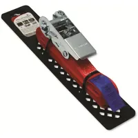 IWH Spanngurt 79422 500 cm x 2,5 cm 549