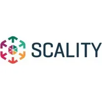 HP HPE Scality RING Engineer Professional Services - Lizenz,