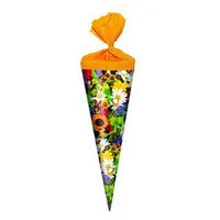 Verpackungsmittel GmbH Markneukirchen Schultüte Ganzjahres Schultüte / Geschenktüte /