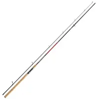 Daiwa Sweepfire Sea Trout Spin 3,00m 10-30g Meerforellenrute