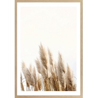 Bönninghoff Bild mit Rahmen BÖNNINGHOFF "Trockenblumen", beige - weiß,