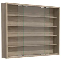 VCM Wandvitrine Agisa L