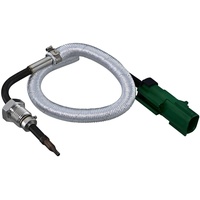 Hella Sensor, Abgastemperatur