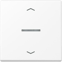 Jung eNet Funk-Steuertaste FM A, 1700 BFP WWM