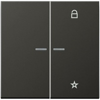 Jung eNet Funk-Steuertaste FM AL 1701 AN