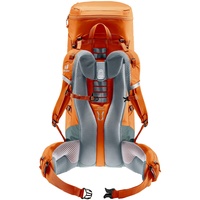 Deuter Aircontact Lite 40+10 chestnut/teal (3340123-9319)