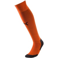 Puma Liga Core