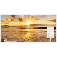 Heidenfeld Infrarotheizung HF-HP105 mit Bild 800 Watt Strand1