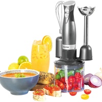 SALTER Stabmixer 350 W SALTER COSMOS 3 in 1,