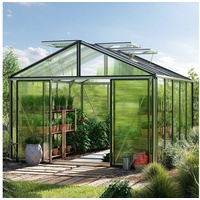 Gfp Gewächshaus Asteria 23 Premium 311x385 cm mit integriertem