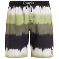 Protest Kinder Badeshorts PRTCITY JR beachshort, Artichoke green, 140