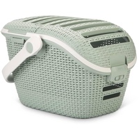 Curver Transportbox hellblau 51x38x33 cm für Hunde - sicher