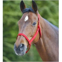 Waldhausen Weidehalfter Halfter Rot