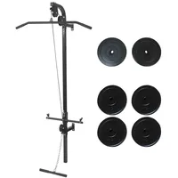 VidaXL Wandmontage mit Gewichtsscheiben 40 kg