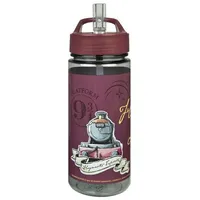 Scooli Harry Potter Trinkflasche 500 ml
