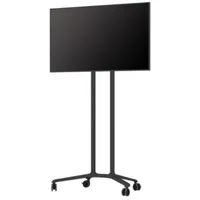 Smart Media Tipster 2 Mobile 50 kg 75" Up