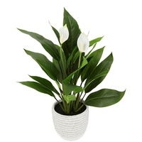 I.GE.A. Künstliche Spathiphyllumpflanze im Topf 48 cm Anthurie Calla