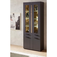 Innostyle Standvitrine »Loft Two«, mit Soft-Close-Funktion, inkl. Beleuchtung grau