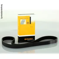 Continental CONTITECH 6PK1200 Keilrippenriemen