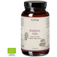 Waldkraft Kraftpilze Gaia Kapseln