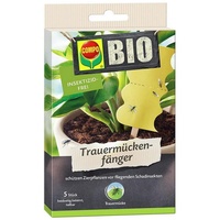 Compo BIO Trauermückenfänger 5 Stück.