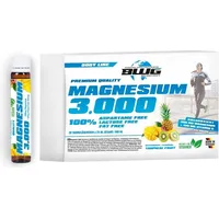 Body World Group BWG Magnesium 3000 Hochdosiert & Vegan,