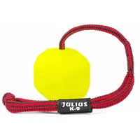 Julius-K9 Julius K-9 Ball Mit Fluorseil - Neon -
