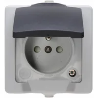 Heinrich Kopp Klappdeckelsteckdose Aufputz Grau 1 St.