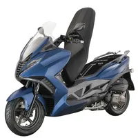 Alpha Motors Sport Cruiser 22 125 ccm 11,0 PS