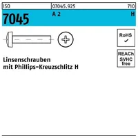 Hörger & Geßler ISO 7045 Form C Linsenkopfschraube VG